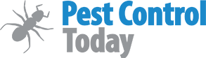 Pest Control Today Sydney