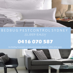 Bed Bug Pest Control Sydney