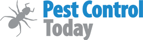 Bee and Wasp Pest Control Sydney